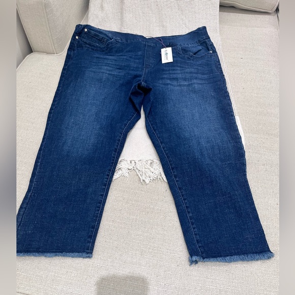 bluberry Denim - Bluberry Melisa cropped leg Jean in blue size 16W.